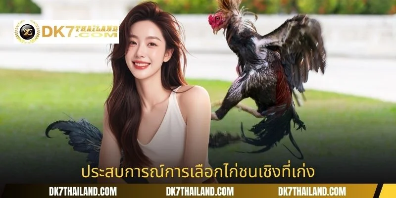 ประสบการณ์การเลือกไก่ชนเชิงที่เก่ง