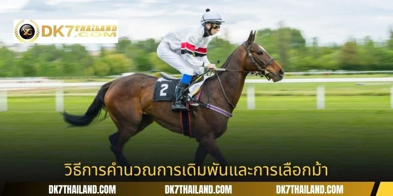 วิธีการคำนวณการเดิมพันและการเลือกม้า