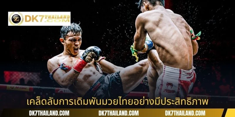 เคล็ดลับการเดิมพันมวยไทยอย่างมีประสิทธิภาพ